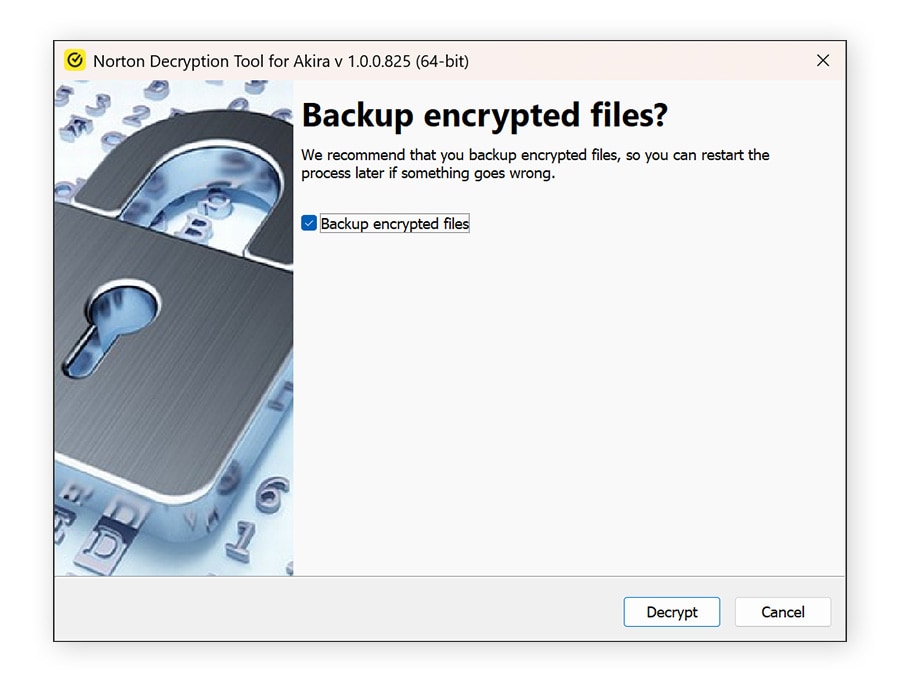 4. Decide whether you want to back up the encrypted files. This can help if anything goes wrong during the decryption process. Then, click Decrypt to decrypt your files.