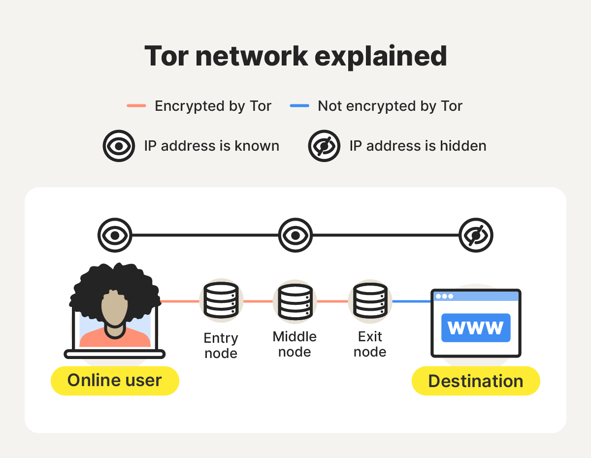 An infographic showing how the Tor Browser encrypts your data and identity.