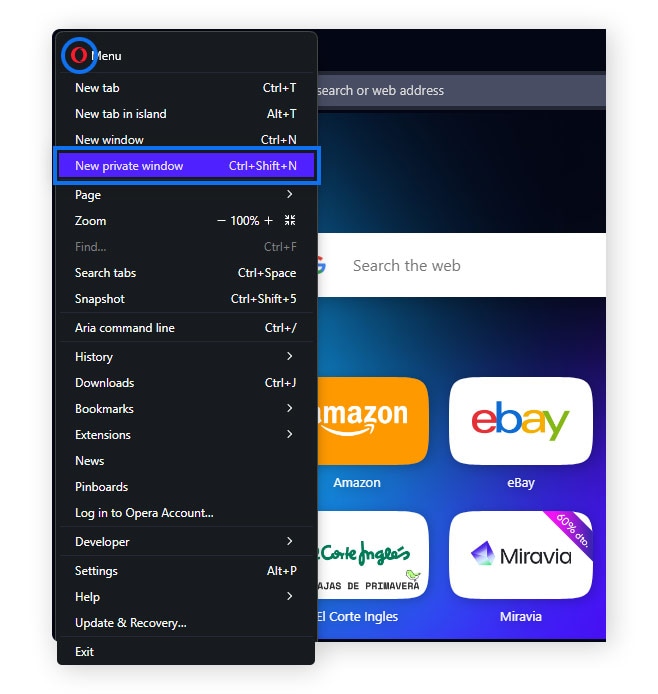 Screenshot of Opera menu > New Private Window.