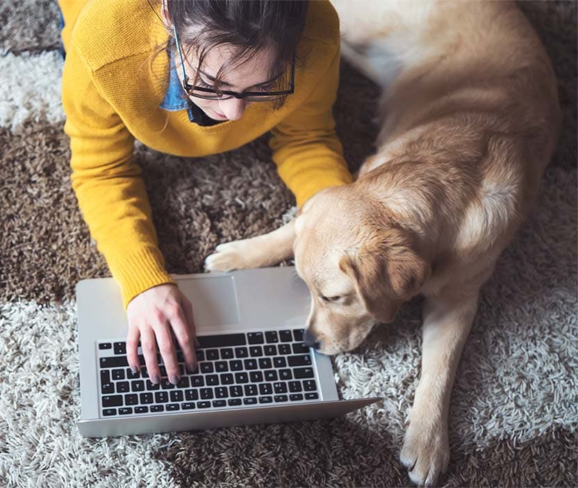 How to fix the ‘Your connection is not private’ error