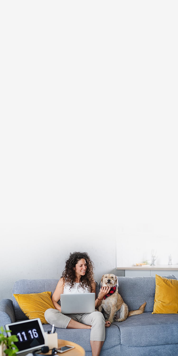 Woman sitting on a couch with a dog and using a laptop